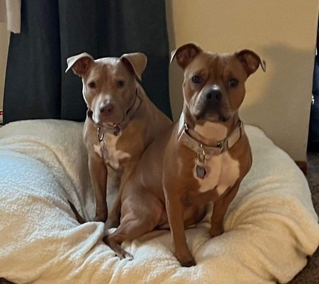 Tessa & Mira