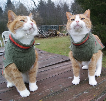 Frankie and Louie