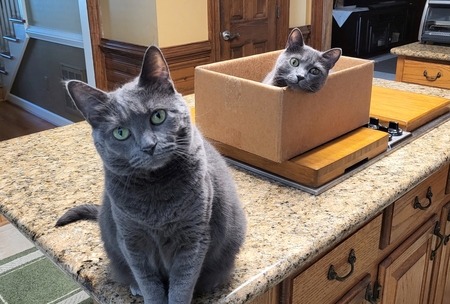 Sammy & Ripley