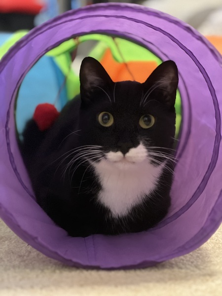 Mister Pepper