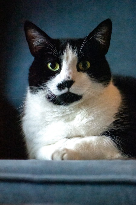 Jameson Irish Whiskers