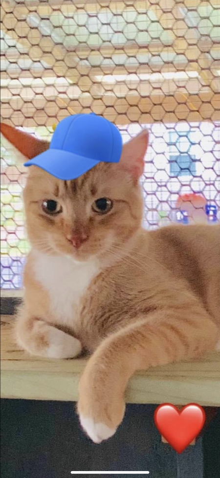Sebastian 