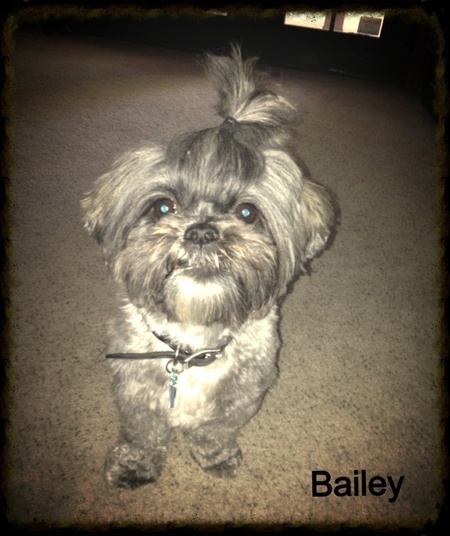 Bailey