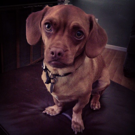 Dexter