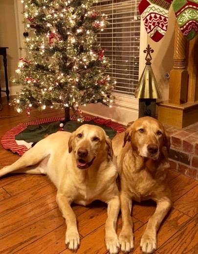 Fenway & Co-co