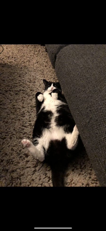 Lucy