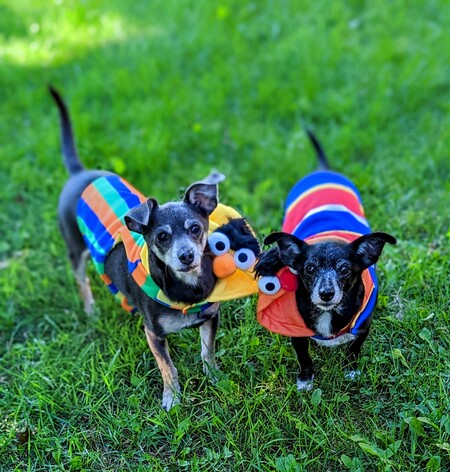 Bert and Ernie