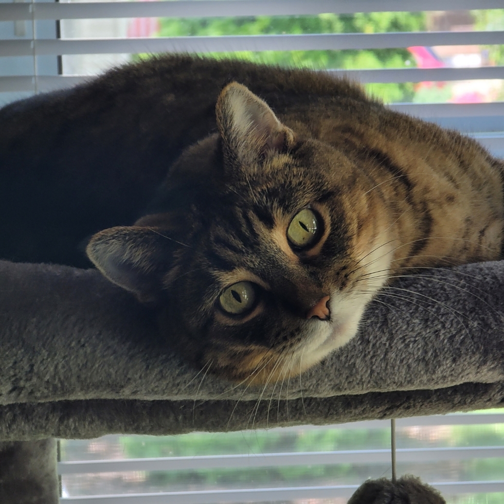 Vote for Seneca 2024 Calendar Contest