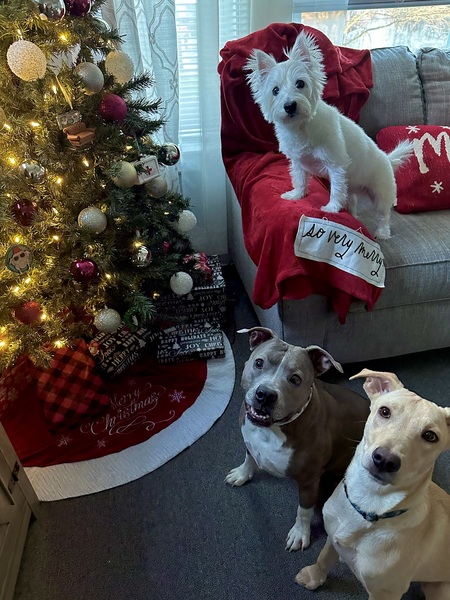 Theodore, Daisy and Maia