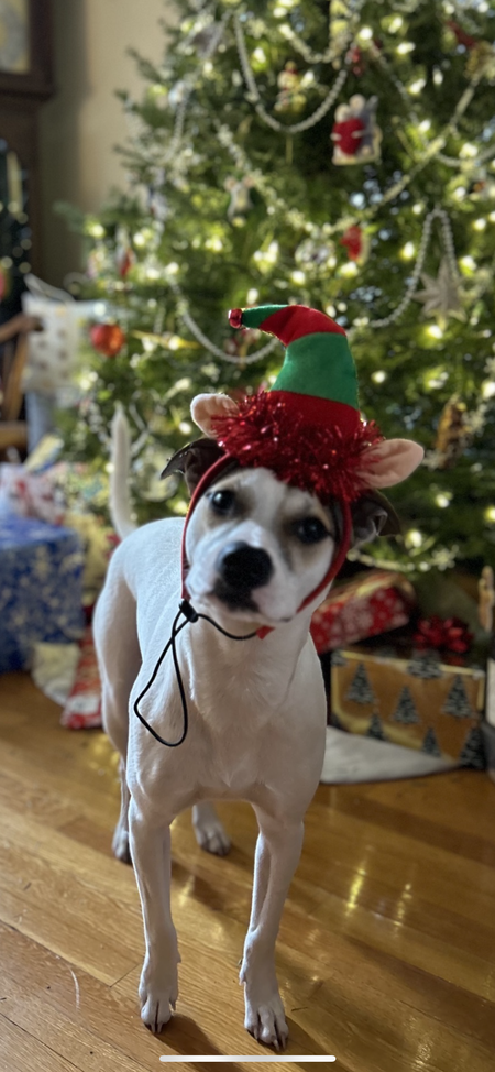 Maggie