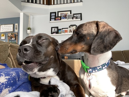 Luna and Oliver 