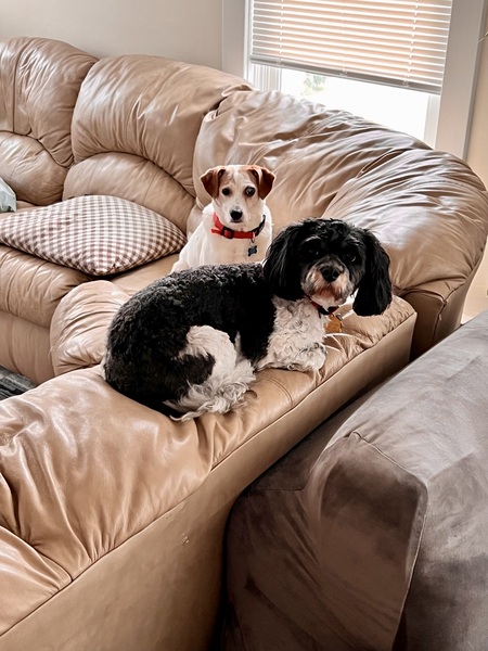 King and Trixie 