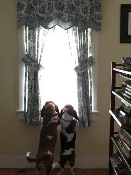 Sadie and Lili