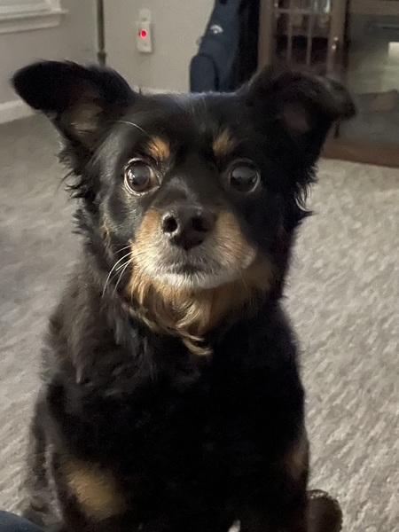 Oliver