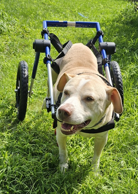 Edgar