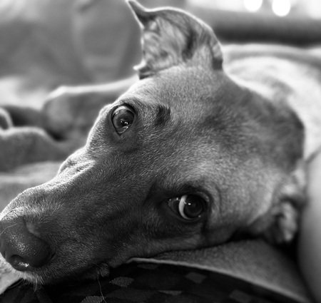 Ruby