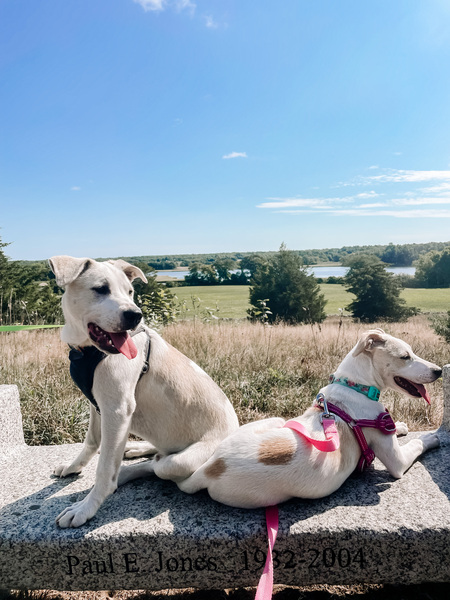 Gracie Amorin and Murphy Amorin