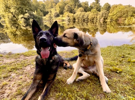 Freya and Odin