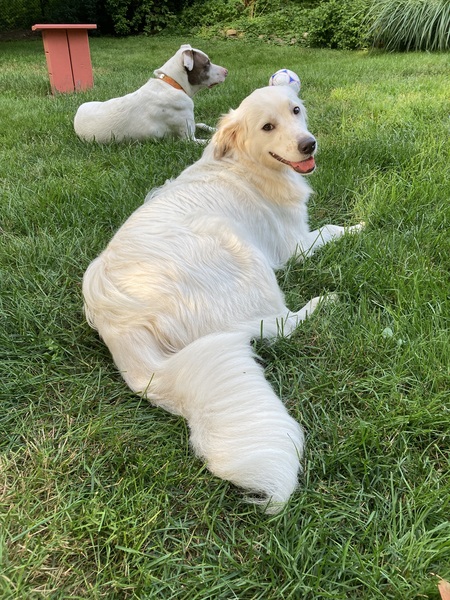 Winnie