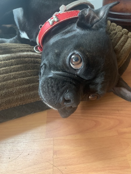 Jouji (formerly Jo) aka JoJo Monkeyman 