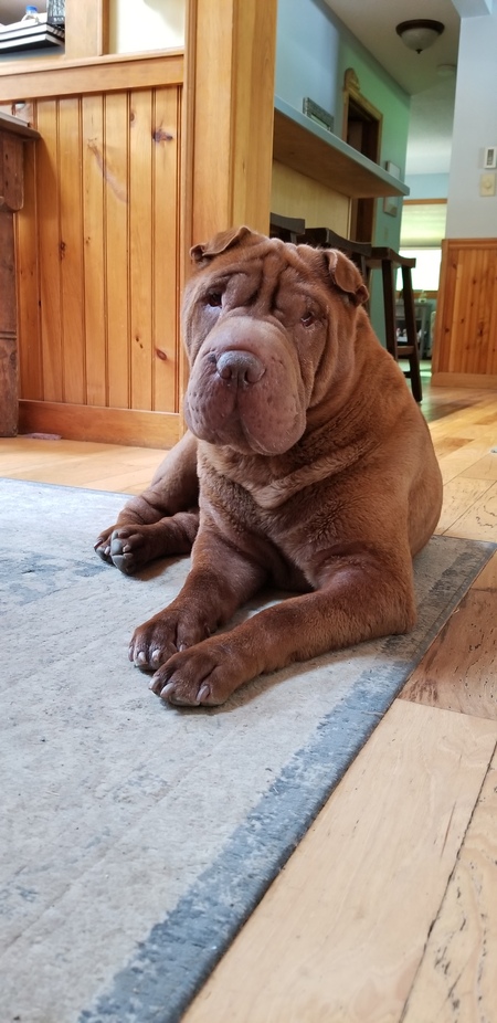 Ebbie