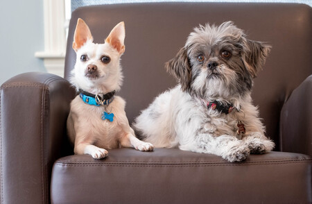 Guapo and Khloe