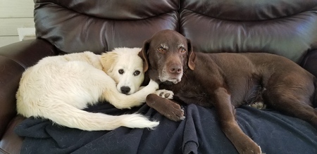 Cali and WalNutt