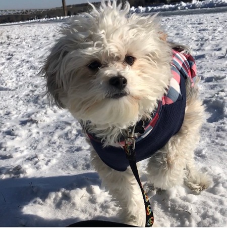 Tommy
