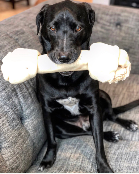 Zeus