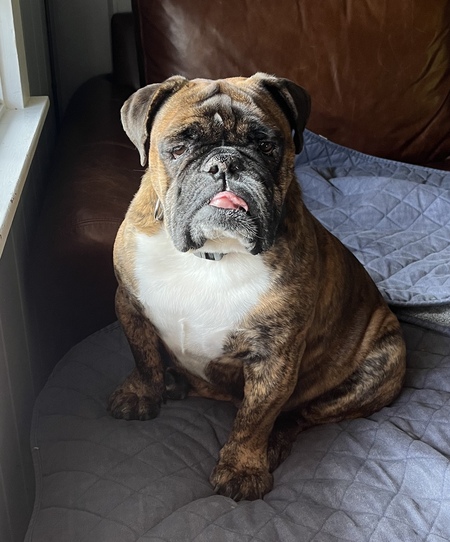 Oscar