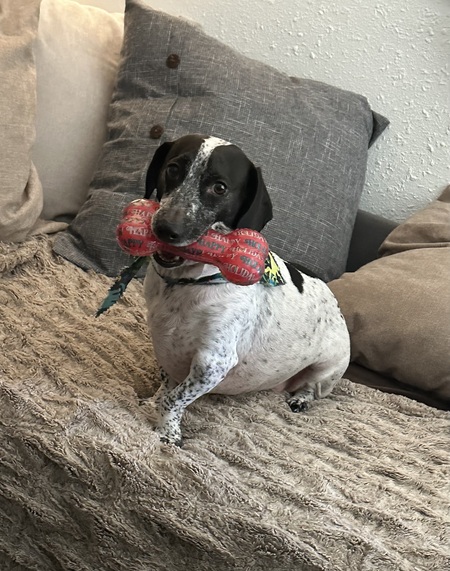 Cooper Dooper