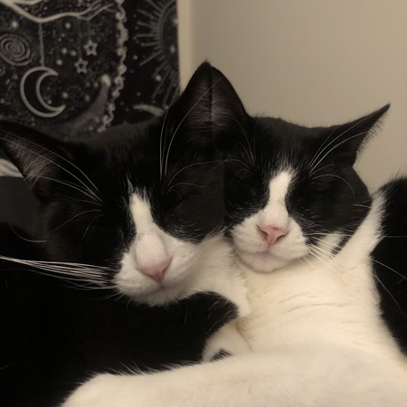 Gus and Winnie