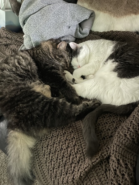 Binx & Griz 