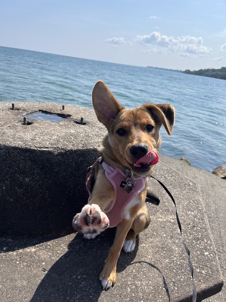 Maddie