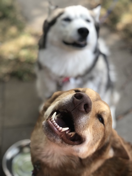 Sawyer and Baela