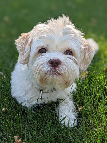Julio 