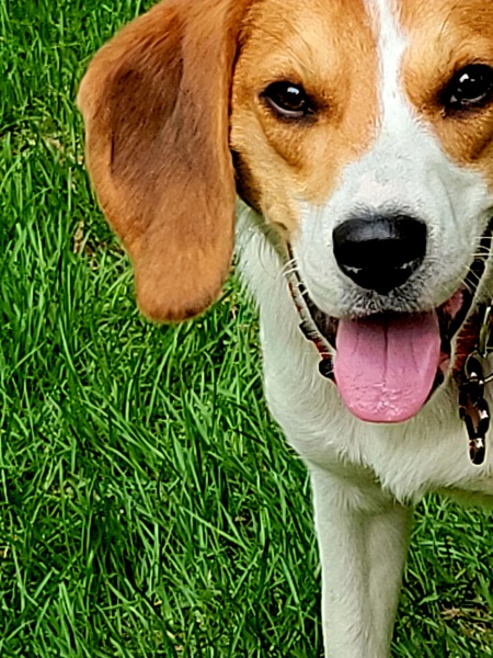Cooper