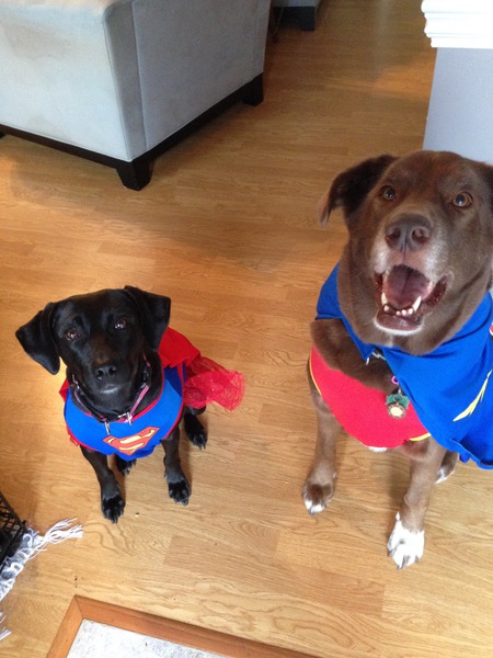 Super Lacy and Wonder Lucy