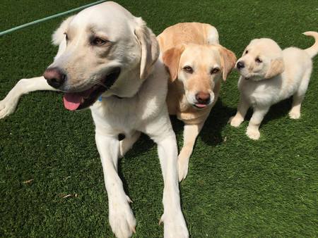 Ovie and friends