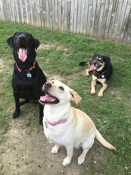 Best Friends Aaron, Shine & Millie! 