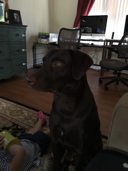 Murphy