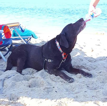 OBX Heidie!