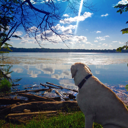 Hudson