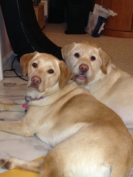 Bailey and Bacardi