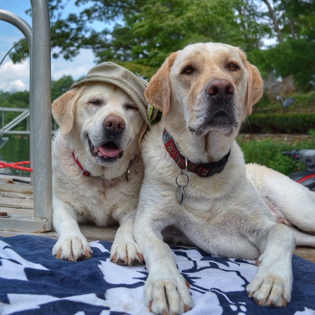 Maggie and Woody