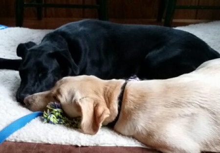 Annabelle and Carly