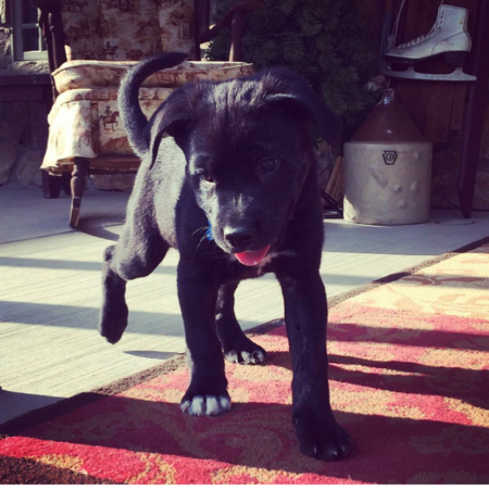 Duke