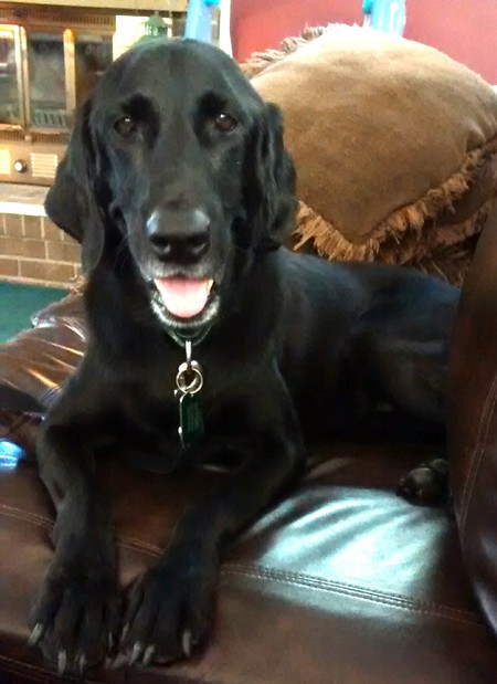 Lizzy