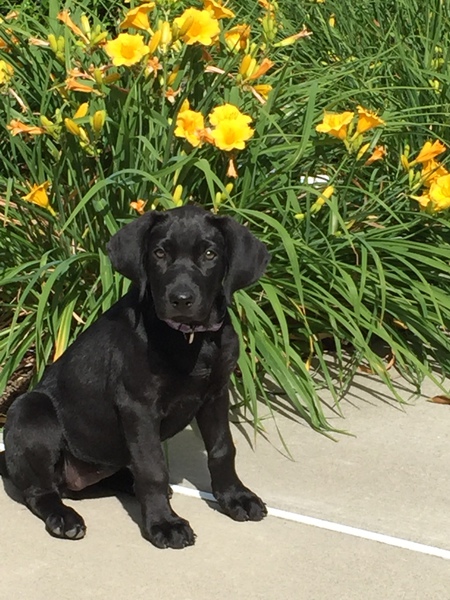 Violet (fka Madison) Mississippi 10