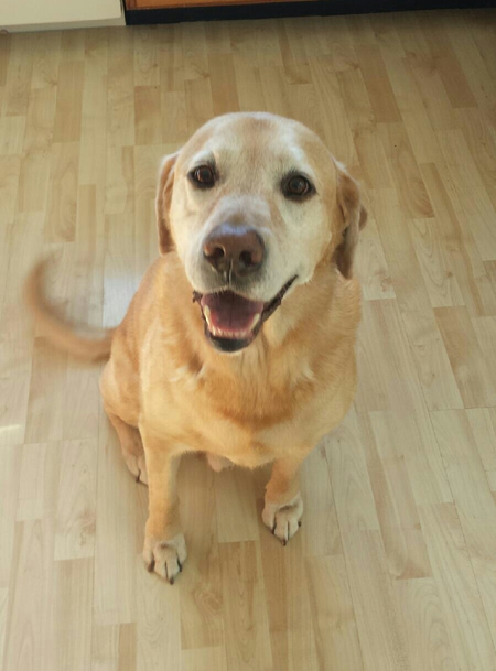 Gus